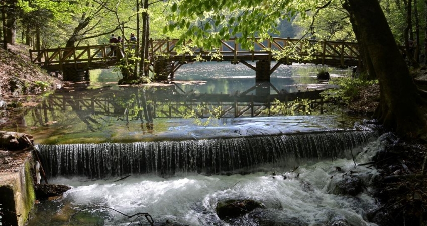 BOLU & YEDİGÖLLER & GÖLCÜK & ABANT GÖLÜ & SAPANCA GÖLÜ