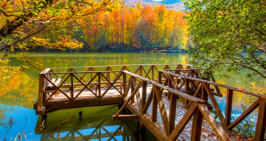 BOLU & YEDİGÖLLER & GÖLCÜK & ABANT GÖLÜ & SAPANCA GÖLÜ