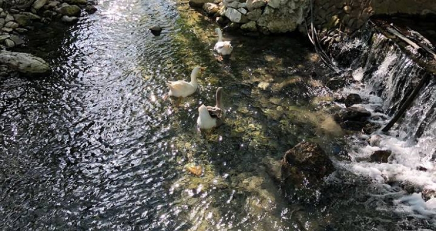 MİDİLLİ ADASI HER ÇARŞAMBA 2 GÜN 1 GECE