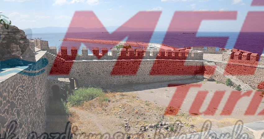 BABAKALE SOKAKAĞZI TURU