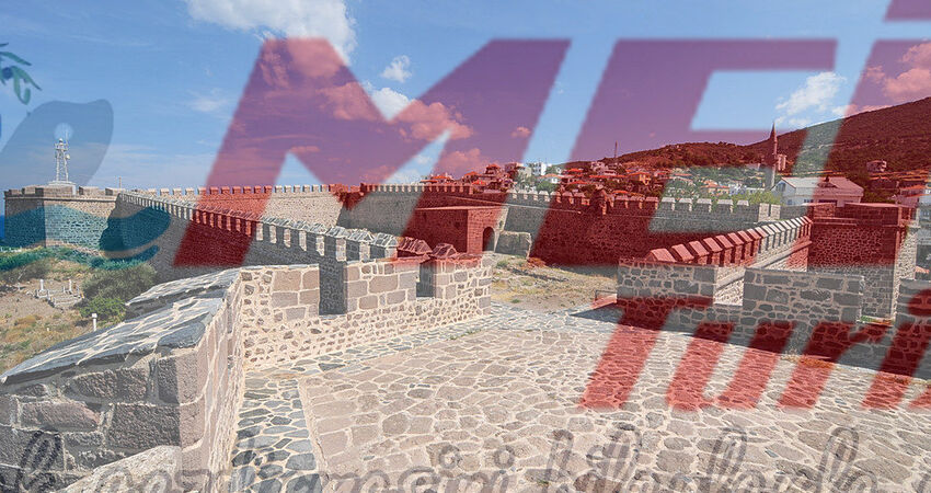 BABAKALE SOKAKAĞZI TURU