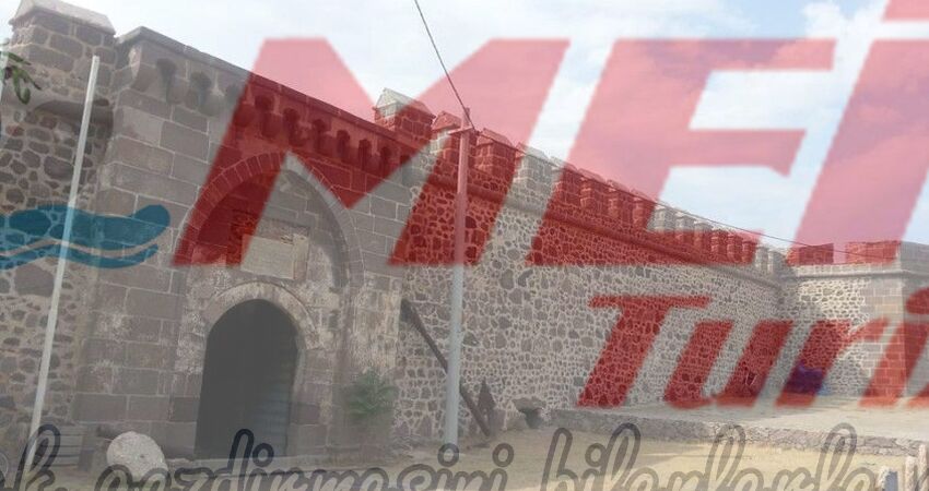 BABAKALE SOKAKAĞZI TURU