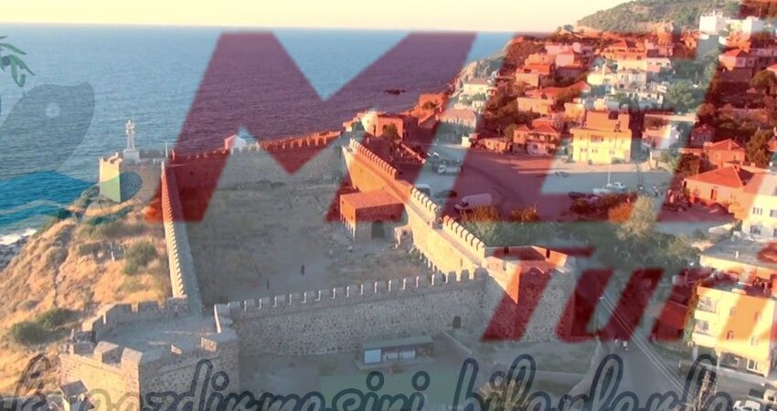 BABAKALE SOKAKAĞZI TURU