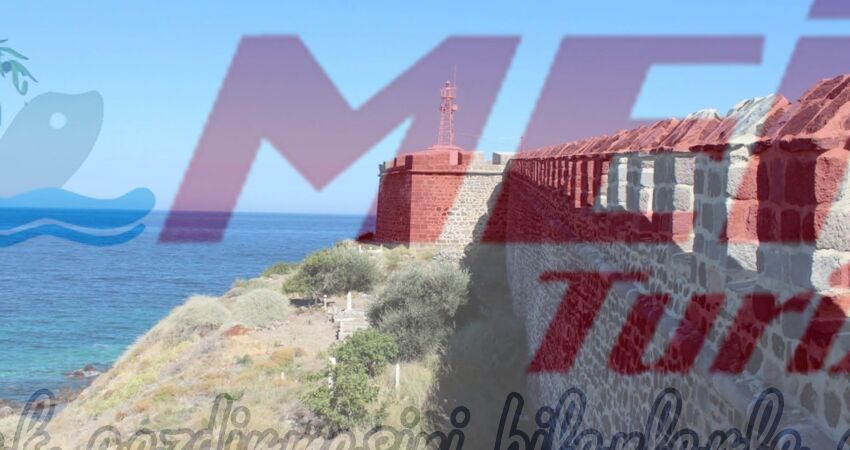 BABAKALE SOKAKAĞZI TURU