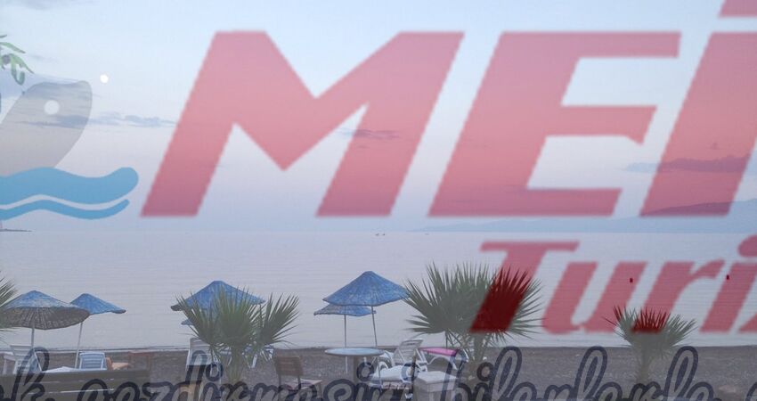 BABAKALE SOKAKAĞZI TURU