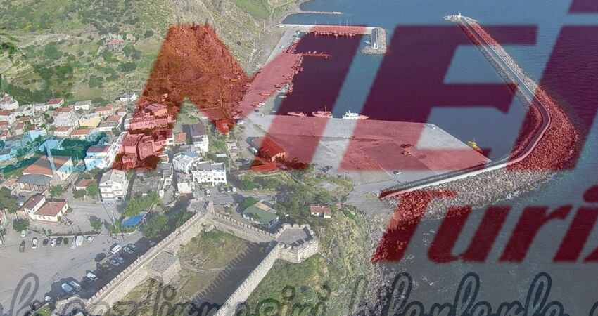 BABAKALE SOKAKAĞZI TURU