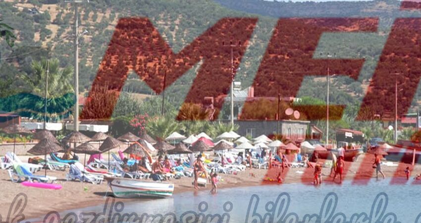 BABAKALE SOKAKAĞZI TURU