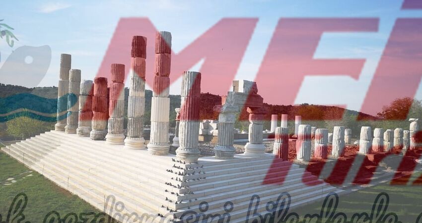 BABAKALE SOKAKAĞZI TURU