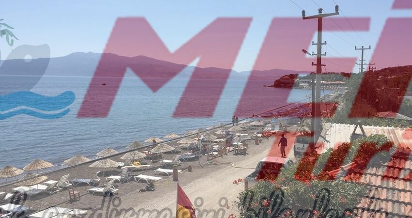 BABAKALE SOKAKAĞZI TURU