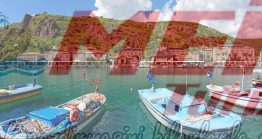 BABAKALE SOKAKAĞZI TURU