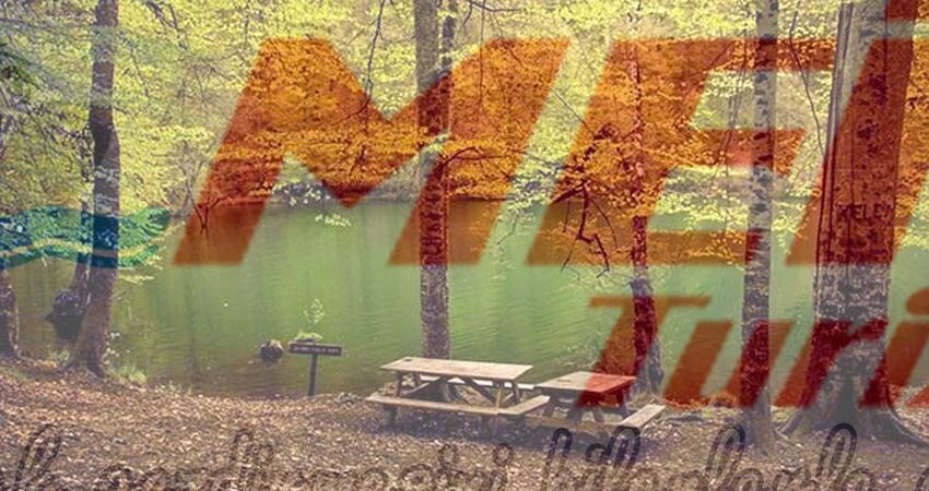 BATI KARADENİZ TURU