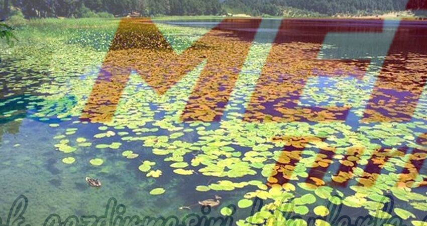 BATI KARADENİZ TURU