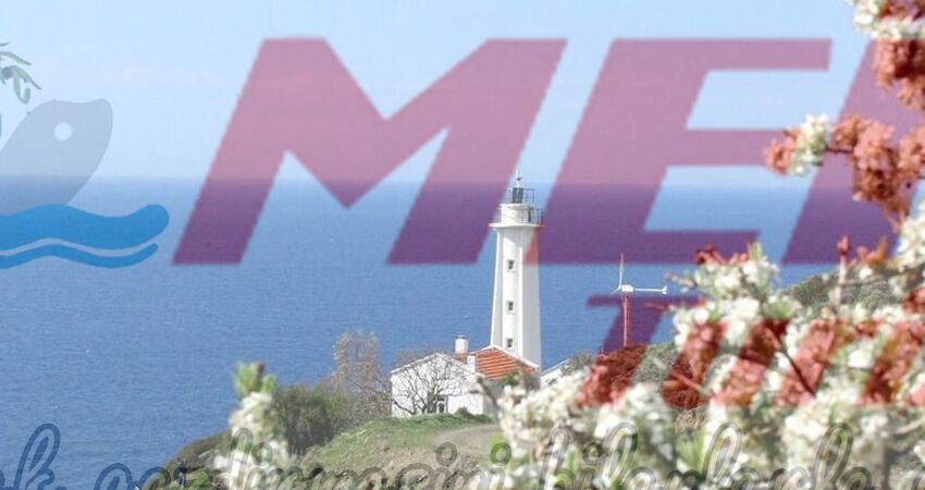 KARABURUN NERGİS FESTİVALİ