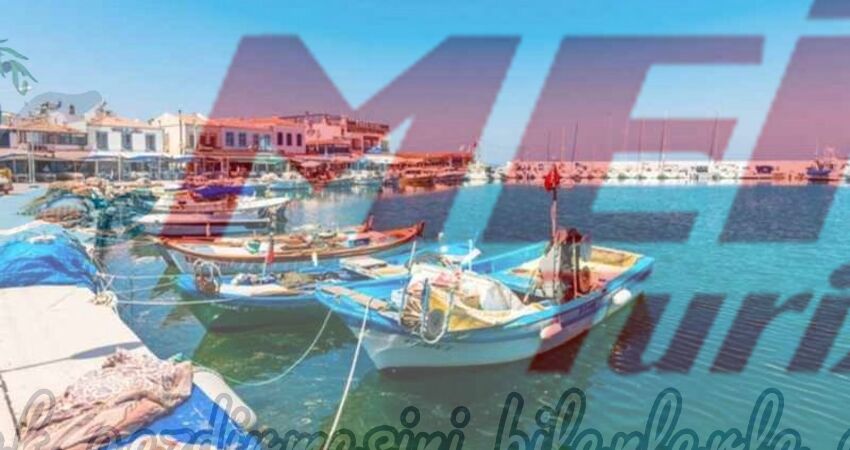 KARABURUN NERGİS FESTİVALİ