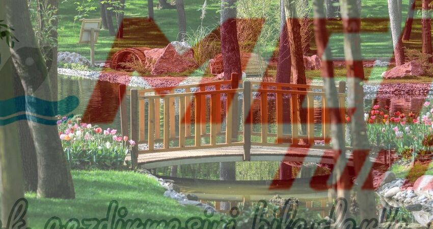 ABANT SAPANCA ORMANYA MAŞUKİYE