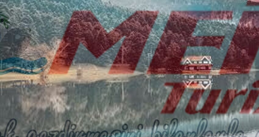 ABANT SAPANCA ORMANYA MAŞUKİYE