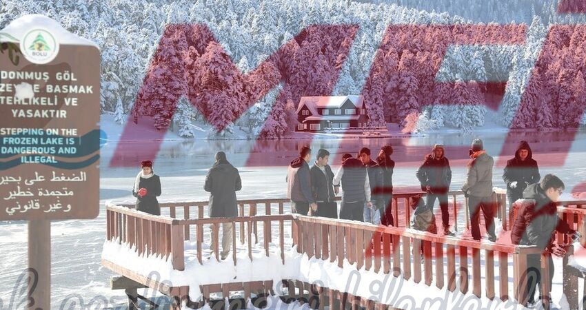 ABANT SAPANCA ORMANYA MAŞUKİYE