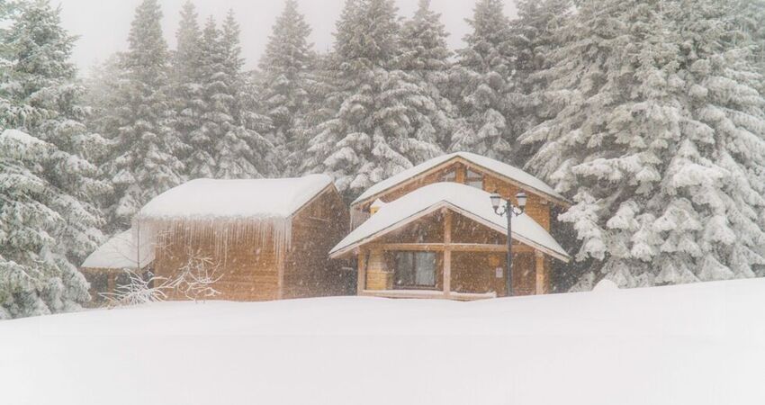 ULUDAĞ ORMAN KÖŞKLERİ 