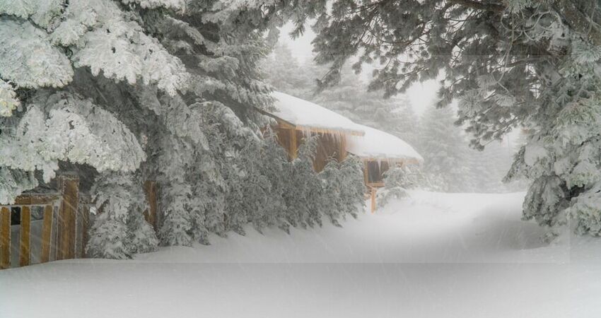 ULUDAĞ ORMAN KÖŞKLERİ 