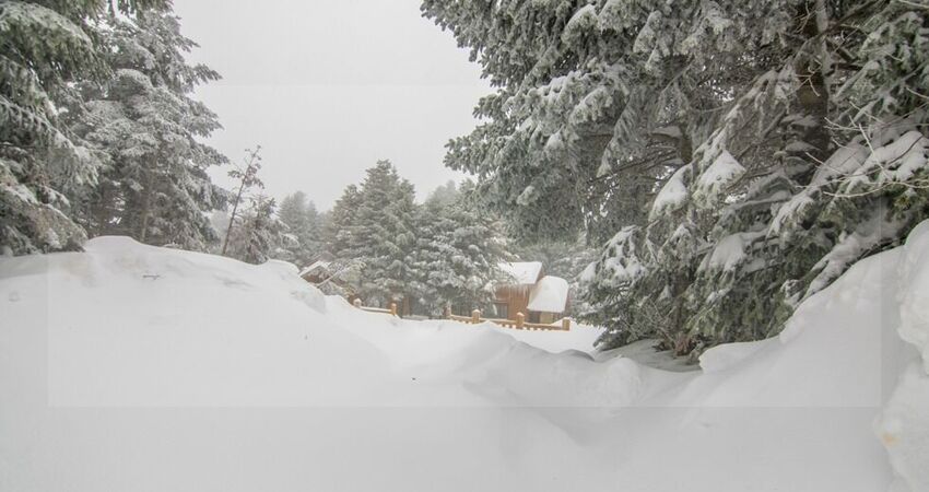 ULUDAĞ ORMAN KÖŞKLERİ 