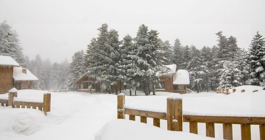 ULUDAĞ ORMAN KÖŞKLERİ 