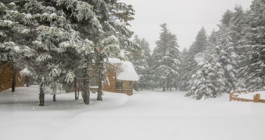 ULUDAĞ ORMAN KÖŞKLERİ 