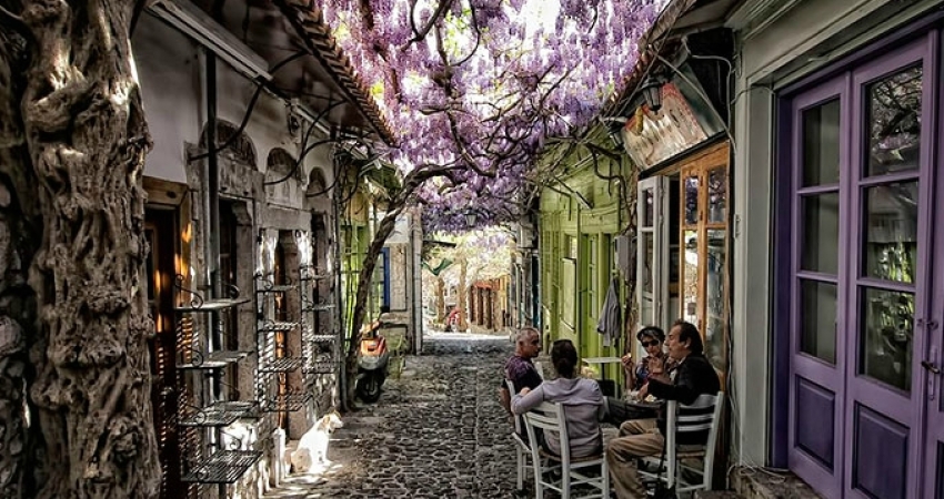 SAKIZ ADASI GÜNEY ADA TURU