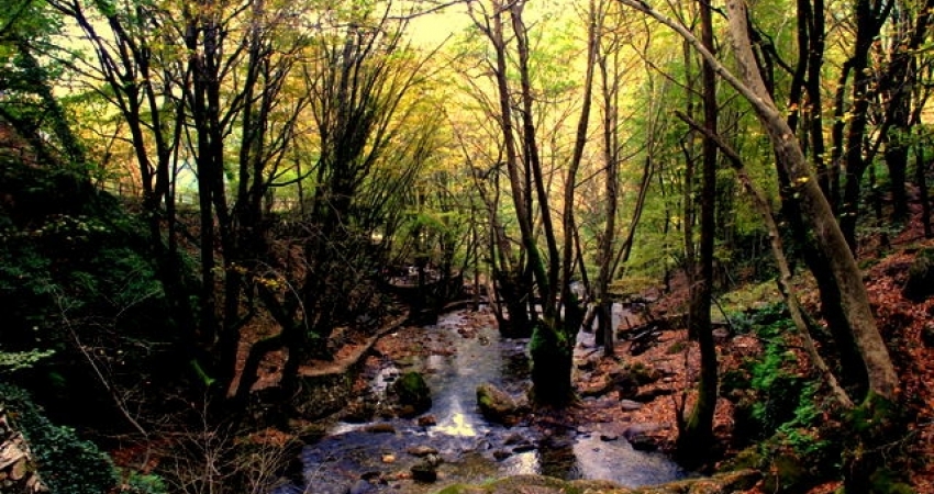 BAYRAMİÇ & AYAZMA TURU