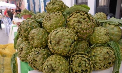 GÜNÜBİRLİK URLA ENGİNAR FESTİVALİ