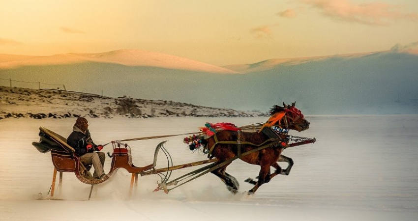 ERZURUM KARS TURU OCAK 2026