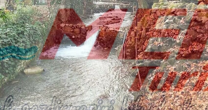 KADINLAR GÜNÜNE ÖZEL ŞİLE & AĞVA & MAŞUKİYE TURU