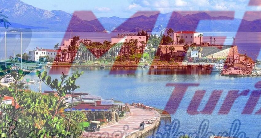 DATÇA BADEM ÇİÇEĞİ FESTİVALİ