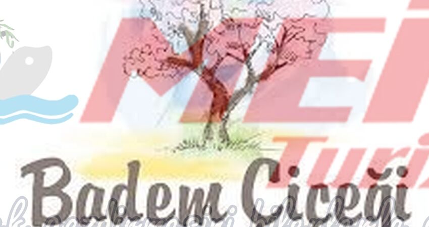 DATÇA BADEM ÇİÇEĞİ FESTİVALİ