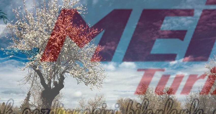 DATÇA BADEM ÇİÇEĞİ FESTİVALİ