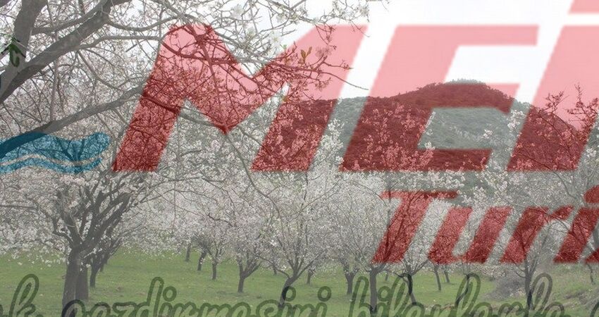 DATÇA BADEM ÇİÇEĞİ FESTİVALİ