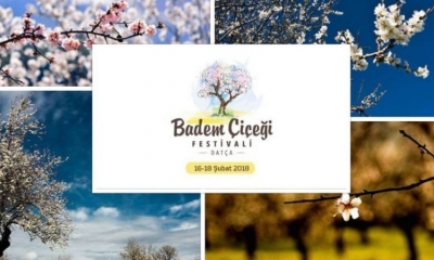 DATÇA BADEM ÇİÇEĞİ FESTİVALİ