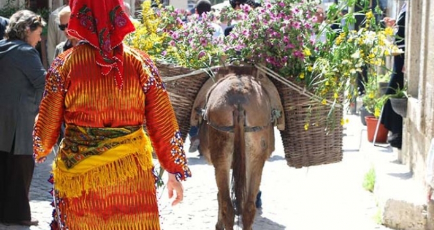 ALAÇATI OT FESTİVALİ