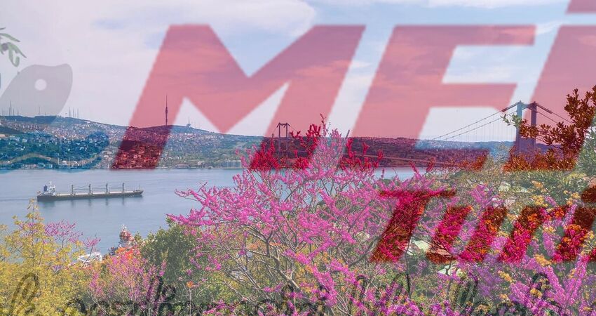 LALE VE ERGUVAN ZAMANI ISTANBUL