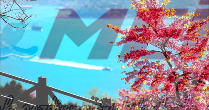 LALE VE ERGUVAN ZAMANI ISTANBUL