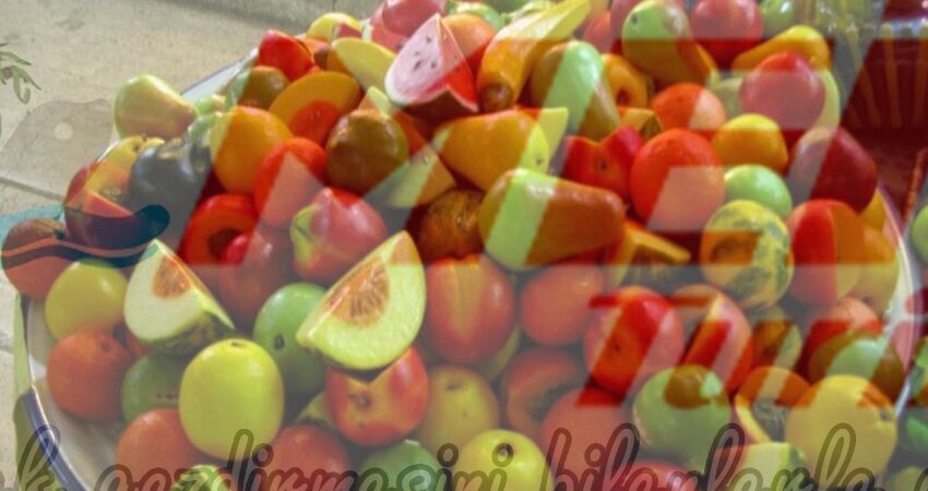 GÜNÜBİRLİK EDİRNE TURU