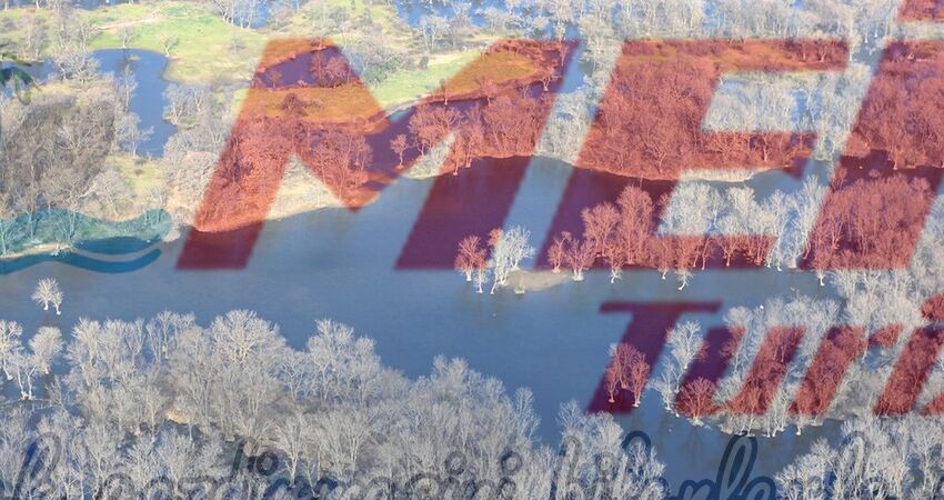 KARACABEY LONGOZ ORMANLARI