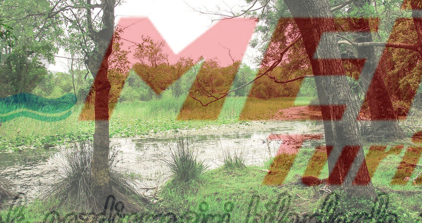 KARACABEY LONGOZ ORMANLARI