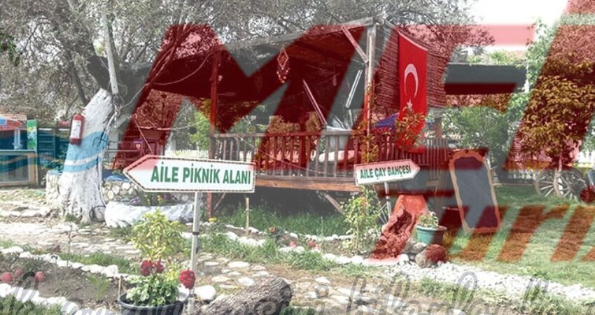 KAZDAĞLARI JEEP SAFARİ - CAM TERAS