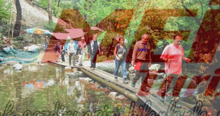 KAZDAĞLARI JEEP SAFARİ - CAM TERAS