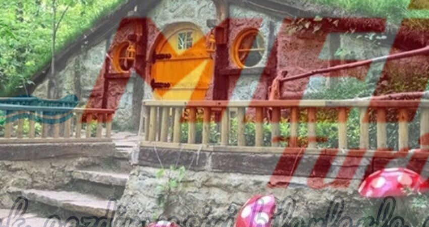 ORMANYA MAŞUKİYE GÜNÜBİRLİK