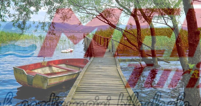 ORMANYA MAŞUKİYE GÜNÜBİRLİK