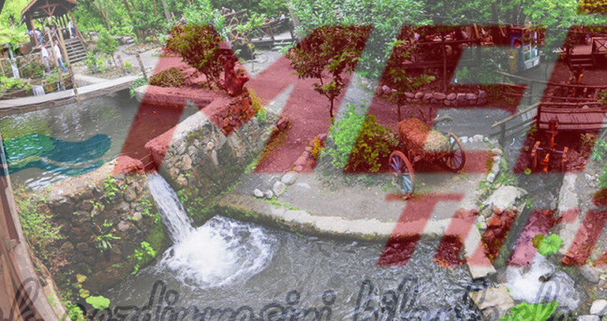 ORMANYA MAŞUKİYE GÜNÜBİRLİK