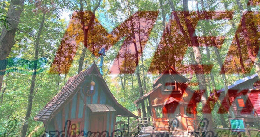 ORMANYA MAŞUKİYE GÜNÜBİRLİK