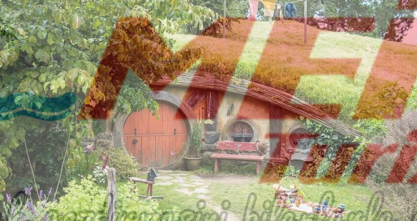 ORMANYA MAŞUKİYE GÜNÜBİRLİK