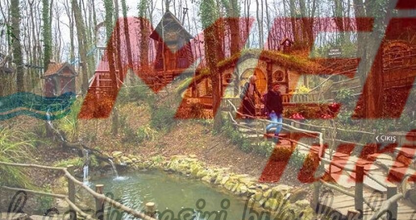 ORMANYA MAŞUKİYE GÜNÜBİRLİK